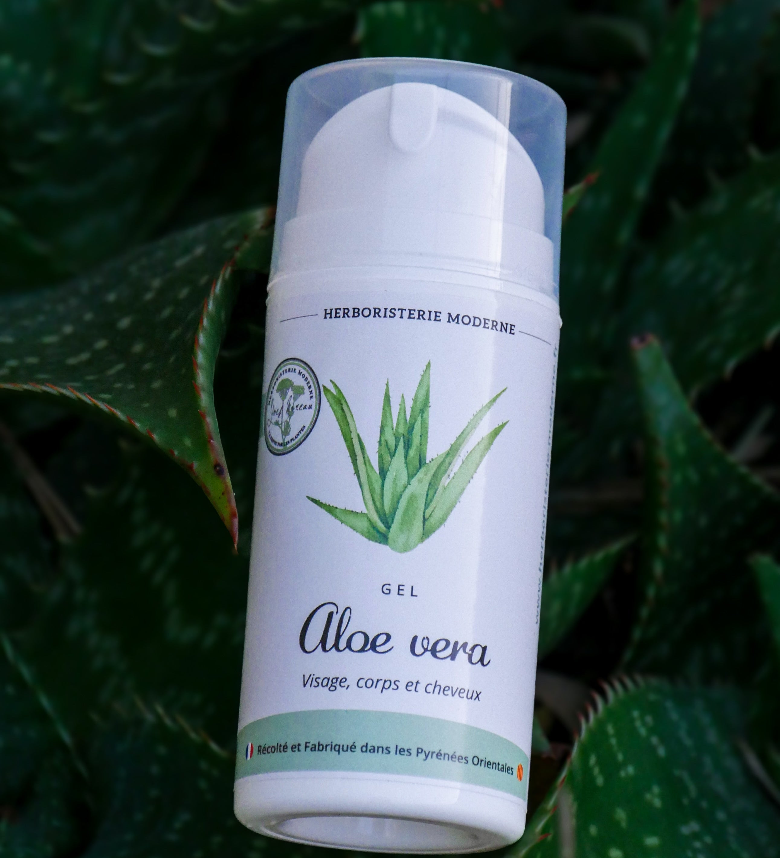 Les bienfaits du gel d'Aloe Vera