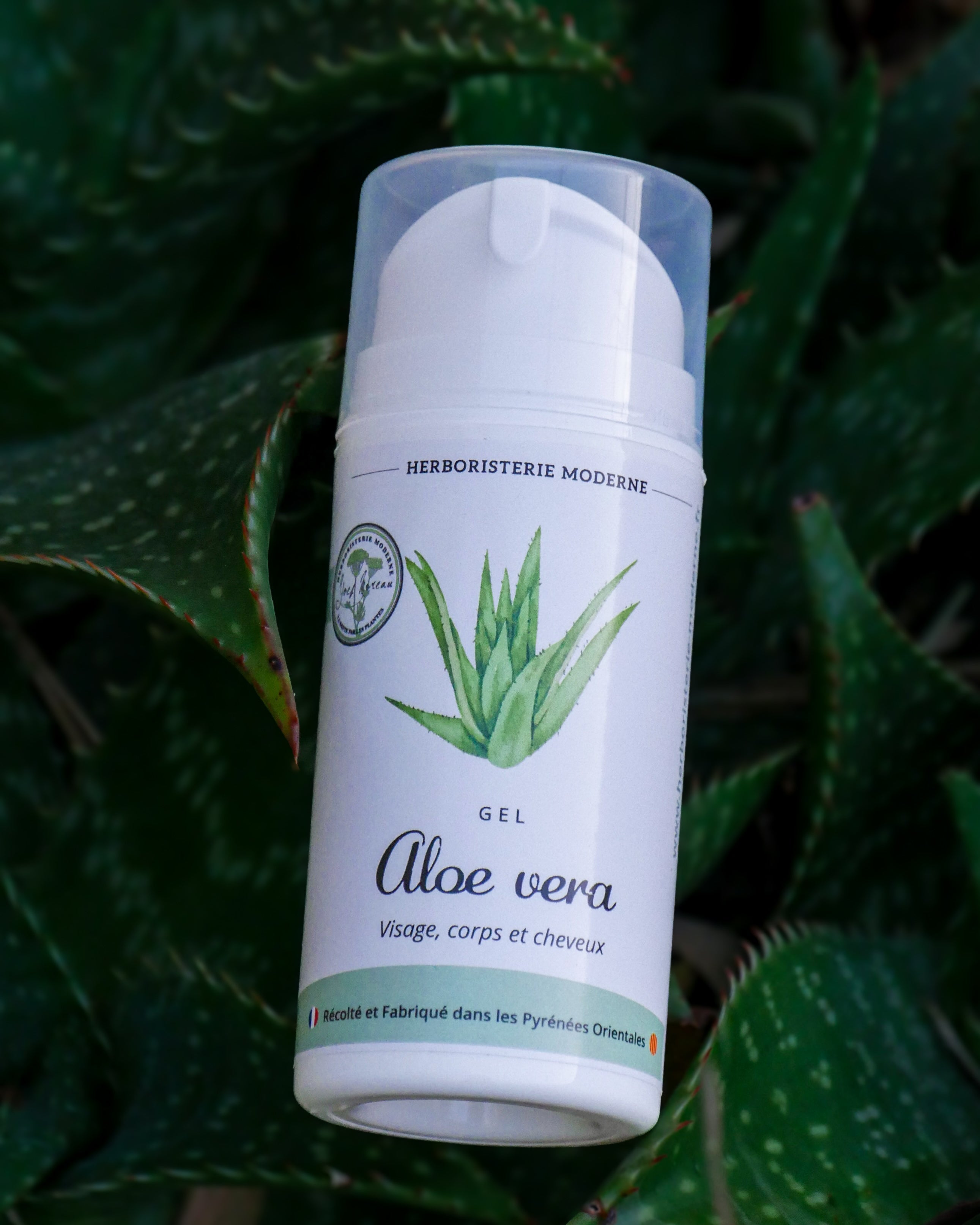 Les bienfaits du gel d'Aloe Vera