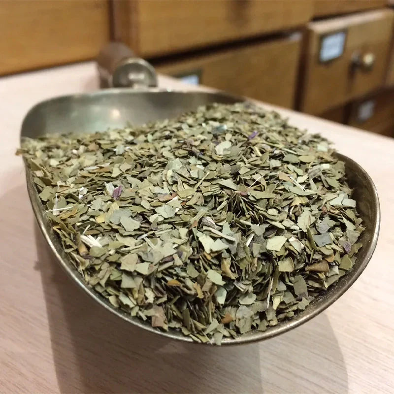 Maté