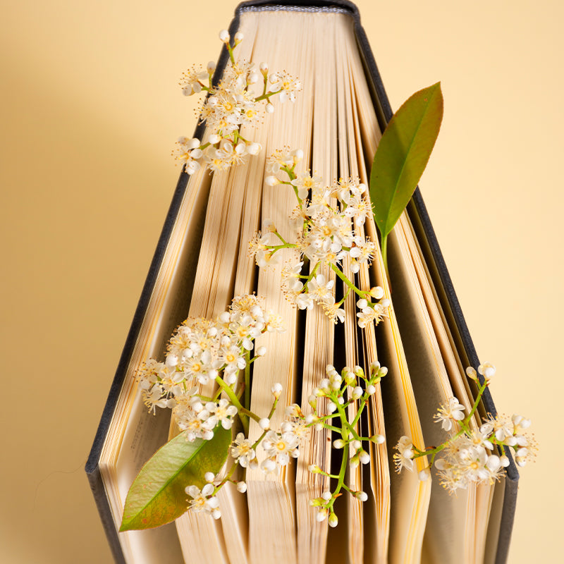 Livre d'or