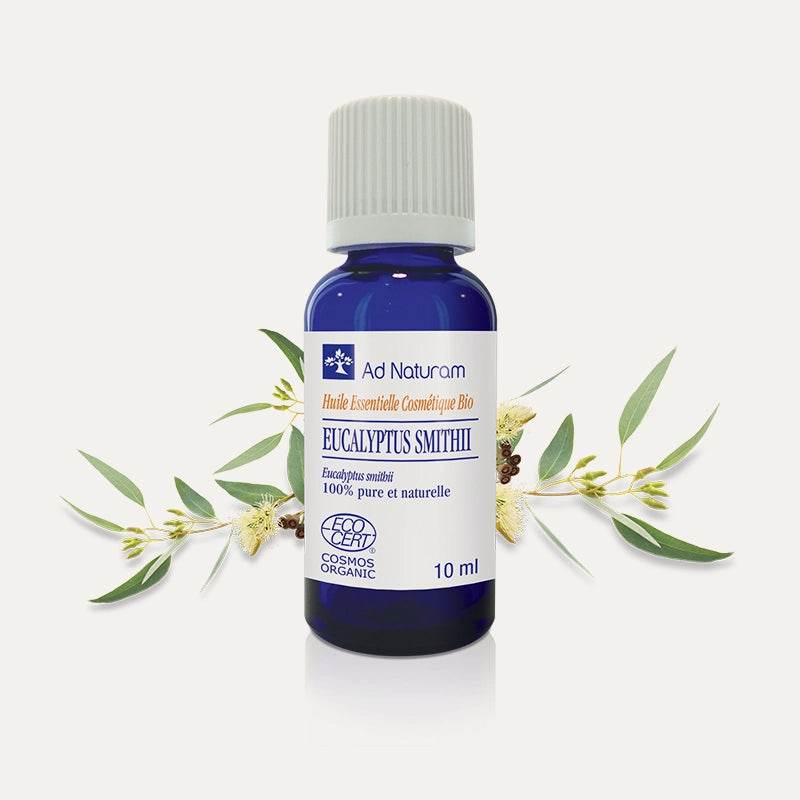 Huile essentielle Eucalyptus Smithii BIO Ad Naturam