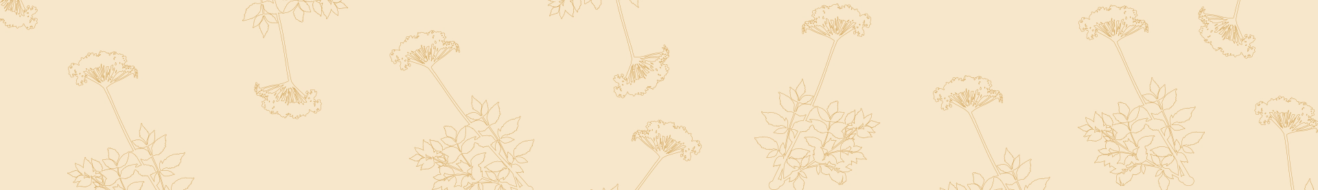 Bandeau-herboristerie-fleurs.webp