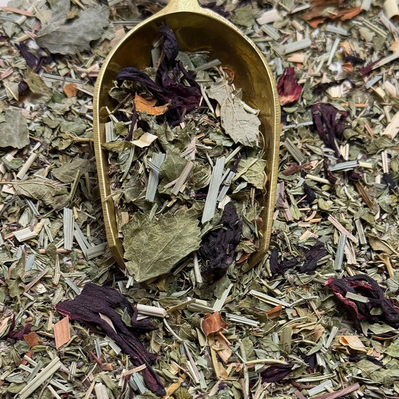Infusion plaisir Fraîcheur d'Été
