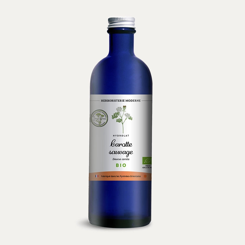 Hydrolat - Carotte sauvage BIO des Pyrénées-Orientales