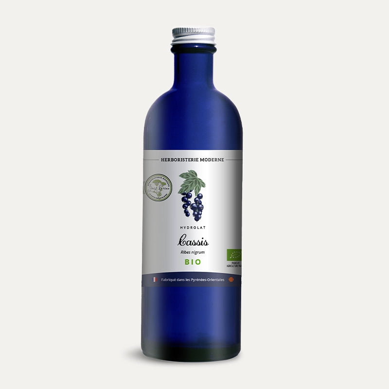 Hydrolat - Cassis BIO des Pyrénées-Orientales
