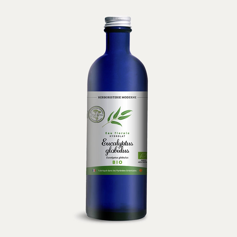 Herboristerie-moderne-hydrolat-eucalyptus-globulus.webp