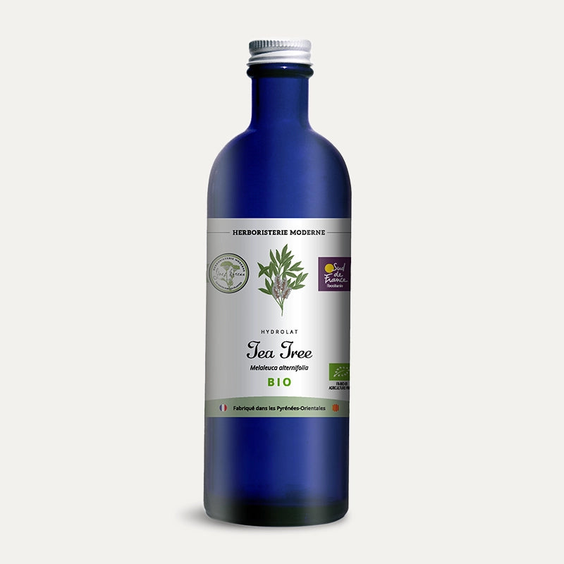 Hydrolat - Tea Tree BIO des Pyrénées-Orientales