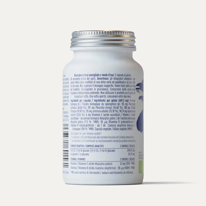 Hifas-da-terra-champignons-Bio-Defense-2.webp
