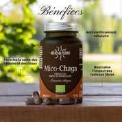 Mico-Chaga BIO