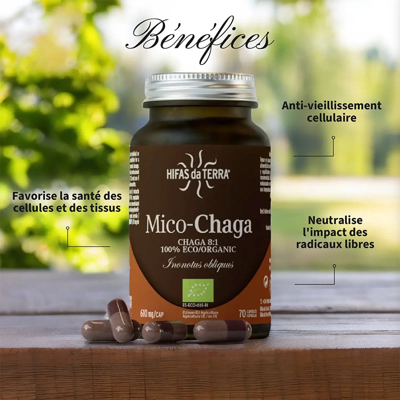 Mico-Chaga BIO