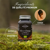 Mico-Chaga BIO