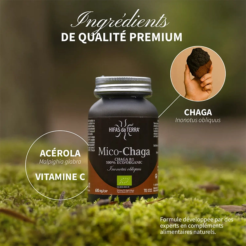 Mico-Chaga BIO