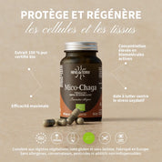 Mico-Chaga BIO