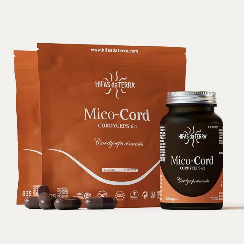 Hifas-da-terra-champignons-Mico-Cord-1.webp