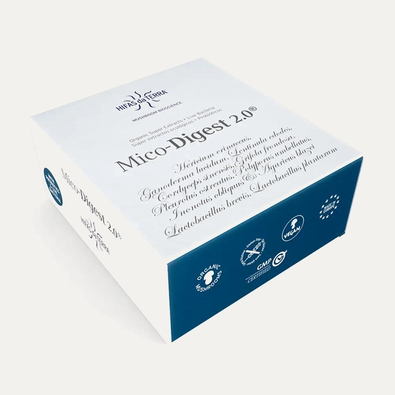 Hifas-da-terra-champignons-Mico-Digest-1.webp
