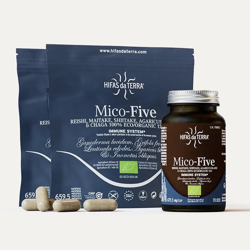 Hifas-da-terra-champignons-Mico-Five-1.webp