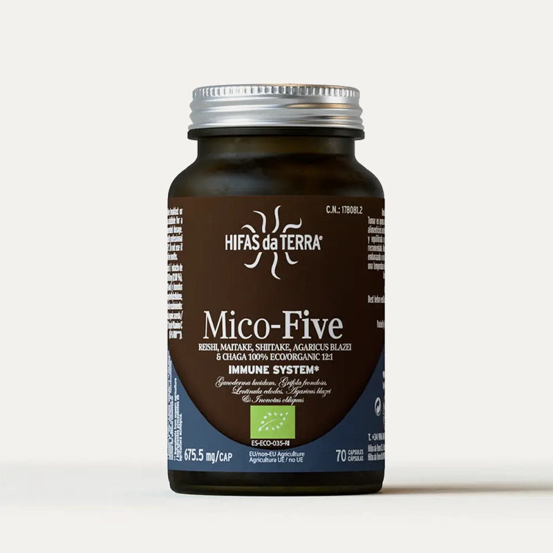 Hifas-da-terra-champignons-Mico-Five-4.webp
