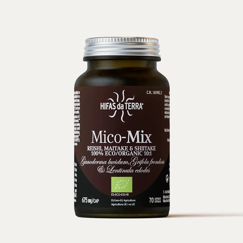 Hifas-da-terra-champignons-Mico-Mix-1.webp