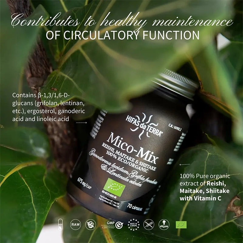 Mico-Mix BIO - Champignons