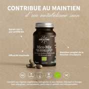 Mico-Mix BIO - Champignons