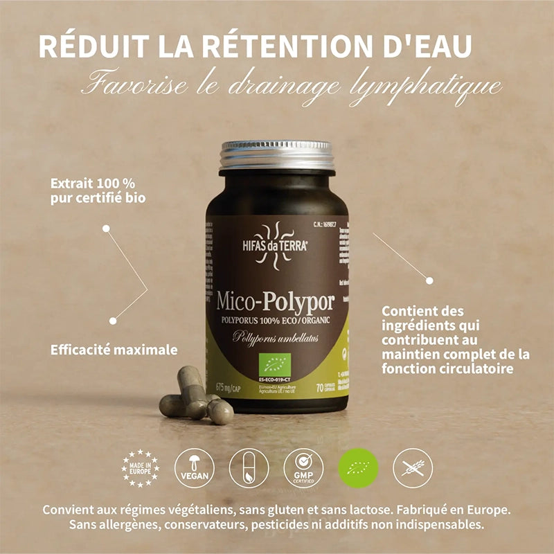 Hifas-da-terra-champignons-Mico-Polypor-5.webp
