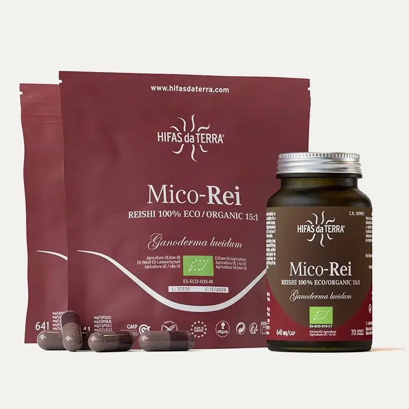 Hifas-da-terra-champignons-Mico-Rei-1.webp