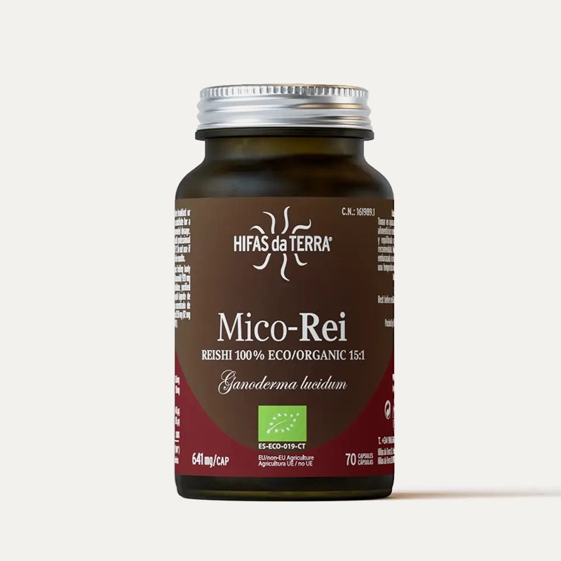 Hifas-da-terra-champignons-Mico-Rei-2.webp