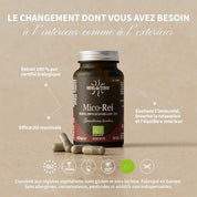 Mico-Rei BIO - Reishi Ganoderma lucidum Champignon - Haute concentration