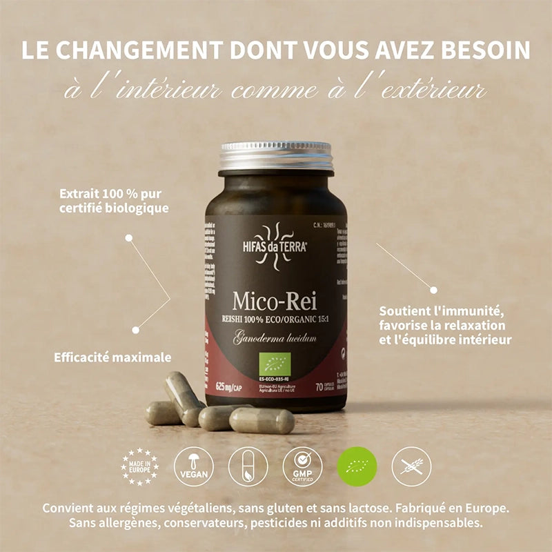 Mico-Rei BIO - Reishi Ganoderma lucidum Champignon - Haute concentration