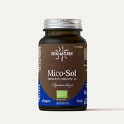 Mico-Sol BIO - Agaricus blazei Champignon du soleil