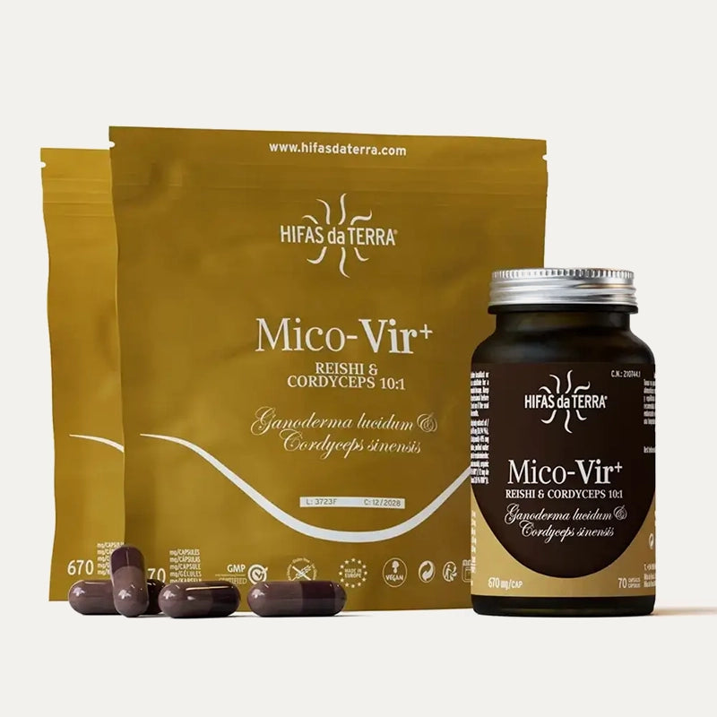 Hifas-da-terra-champignons-Mico-Vir-1.webp