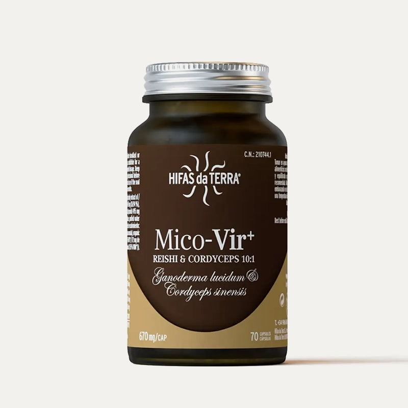 Hifas-da-terra-champignons-Mico-Vir-5.webp