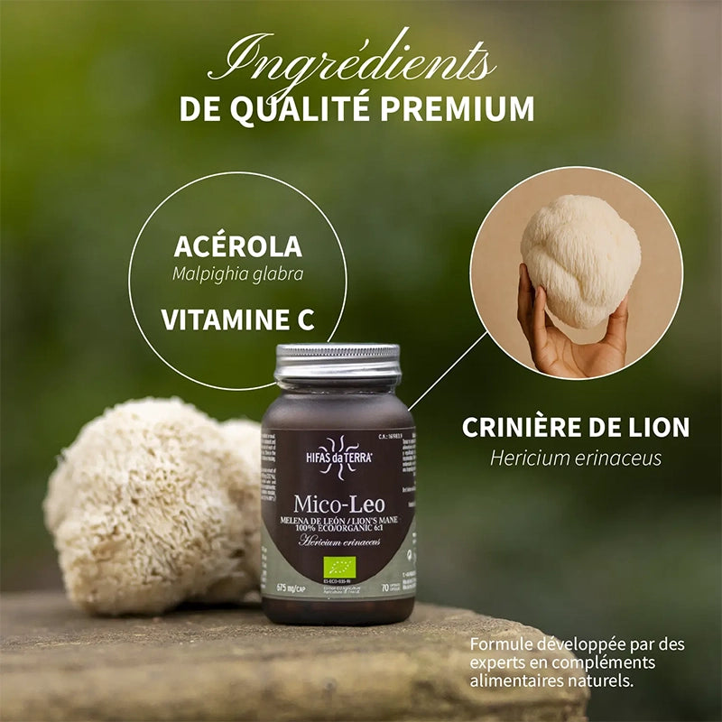 Mico Leo BIO - Crinière du Lion Hericium Erinaceus Champignon