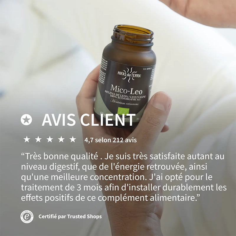 Mico Leo BIO - Crinière du Lion Hericium Erinaceus Champignon