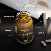 Mico Leo BIO - Crinière du Lion Hericium Erinaceus Champignon