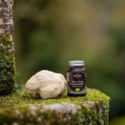 Mico Leo BIO - Crinière du Lion Hericium Erinaceus Champignon