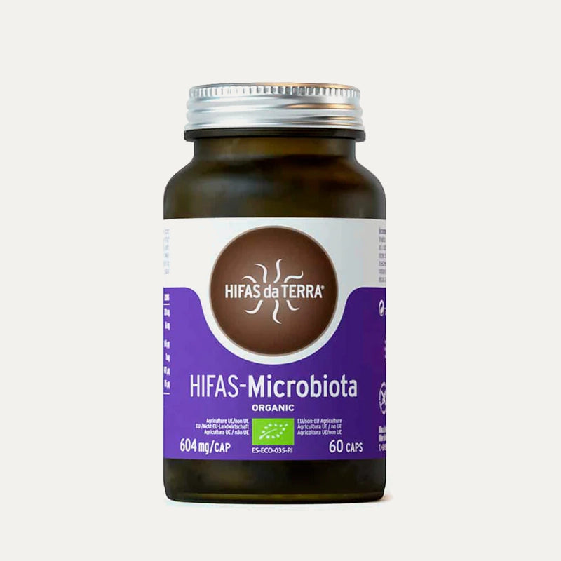 Hifas-da-terra-champignons-Microbiota-4.webp