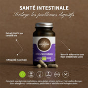 Hifas - Microbiota BIO
