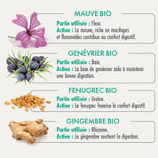 Rooibos Digestao