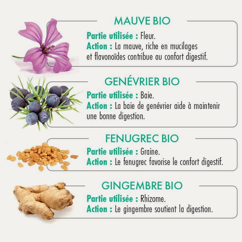 Rooibos Digestao