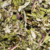 Armoise Artemisia - Feuilles coupées - Encens à brûler