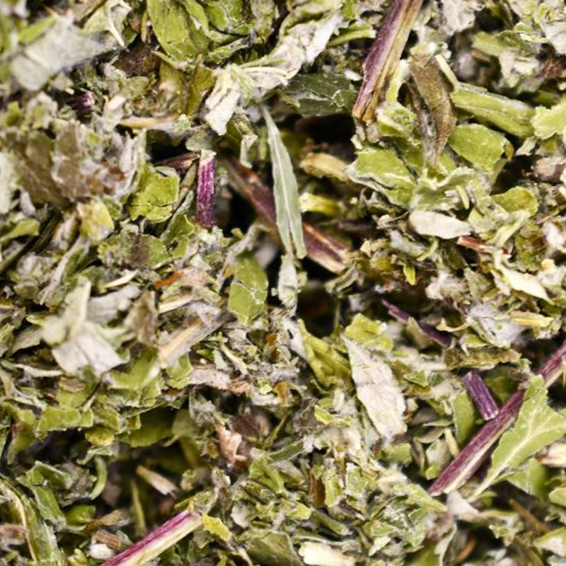 Armoise Artemisia - Feuilles coupées - Encens à brûler