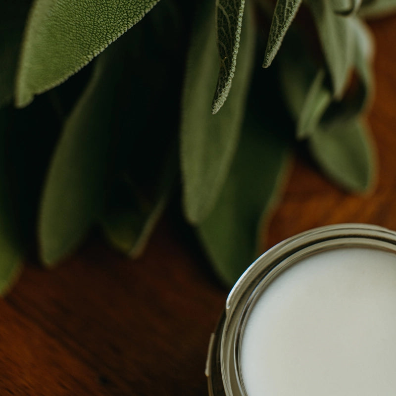 Déodorant crème BIO - L'Herbacé