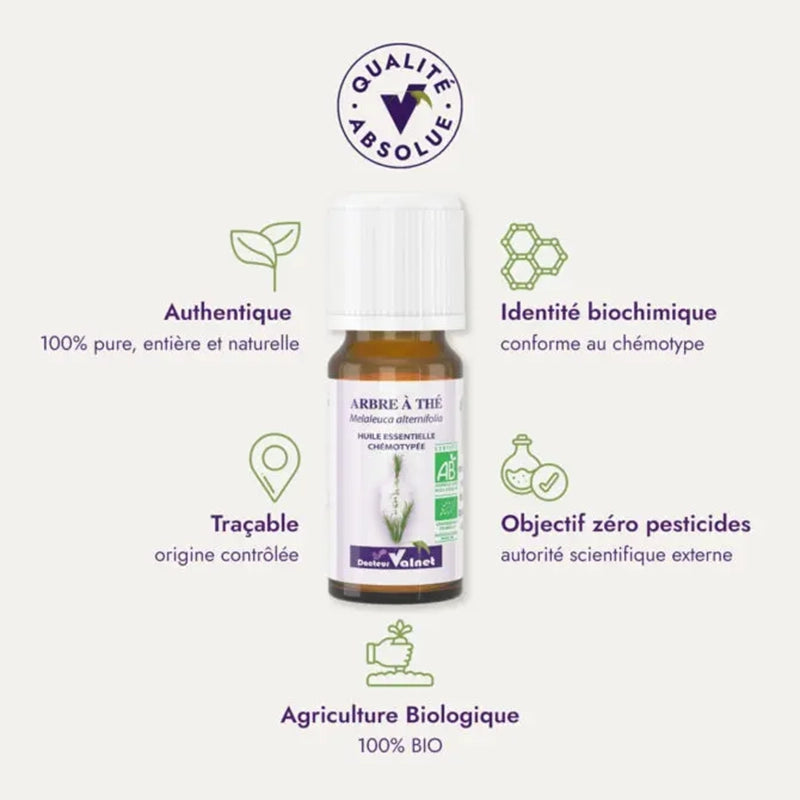 Huile essentielle Tea Tree - Arbre à Thé BIO