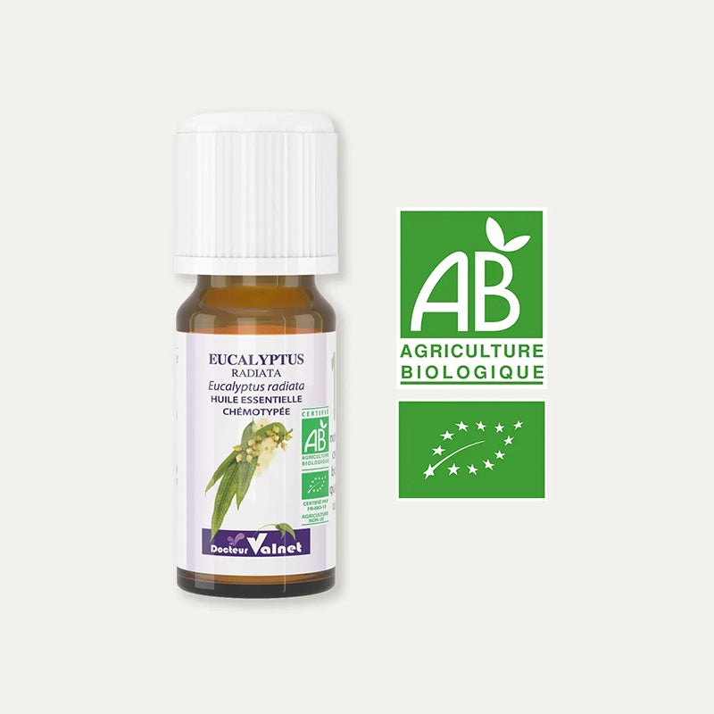 Huile essentielle Eucalyptus Radiata BIO