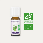 Huile essentielle Menthe poivrée BIO
