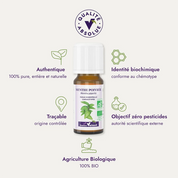 Huile essentielle Menthe poivrée BIO