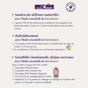 Huile essentielle Ravintsara BIO
