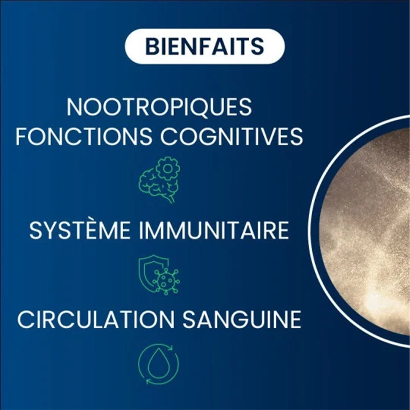 dynveo-vitamine-b12-2.webp