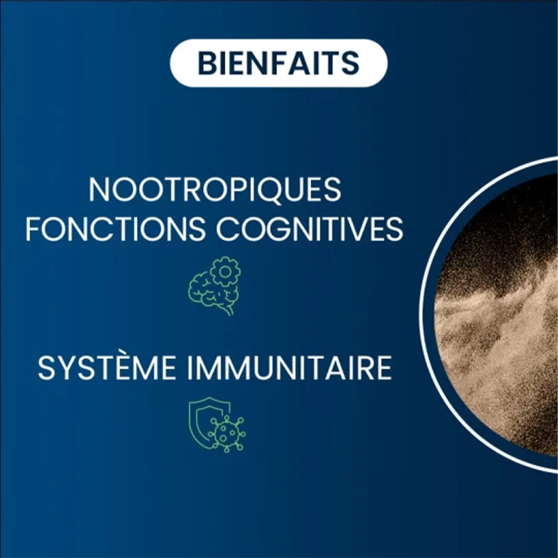 dynveo-vitamine-b9-2.webp